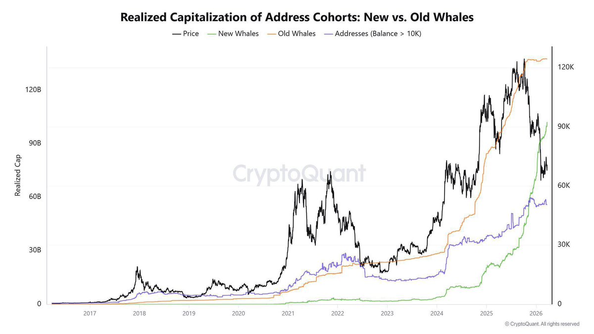 MiklosDenkler's tweet photo. 📈 The accumulation of BTC by new whales has not stopped. Their full-scale buying began in 2025.

The accumulation by old whales has ended, but new whales are still buying.

$65-72k zone builds massive rampage🚀 https://t.co/zKvbwhC0fn