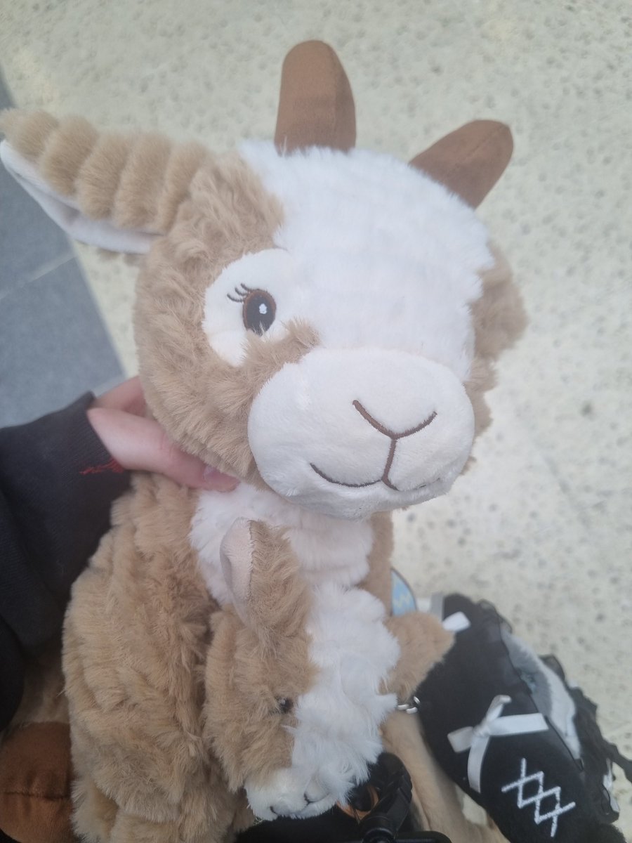 ৎ୭ ʀʏɴ tweet media