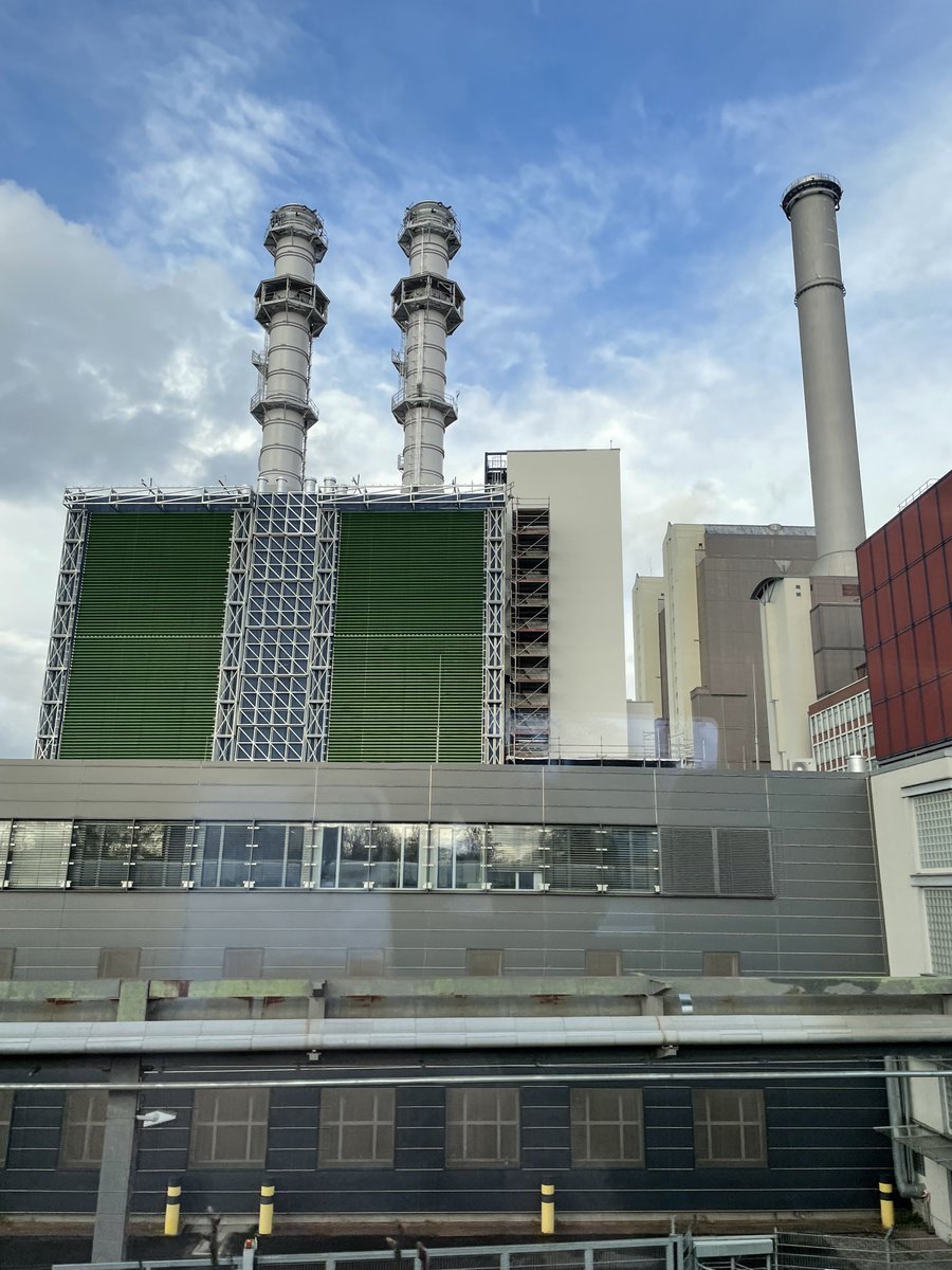 Anna Vero Wendland tweet media