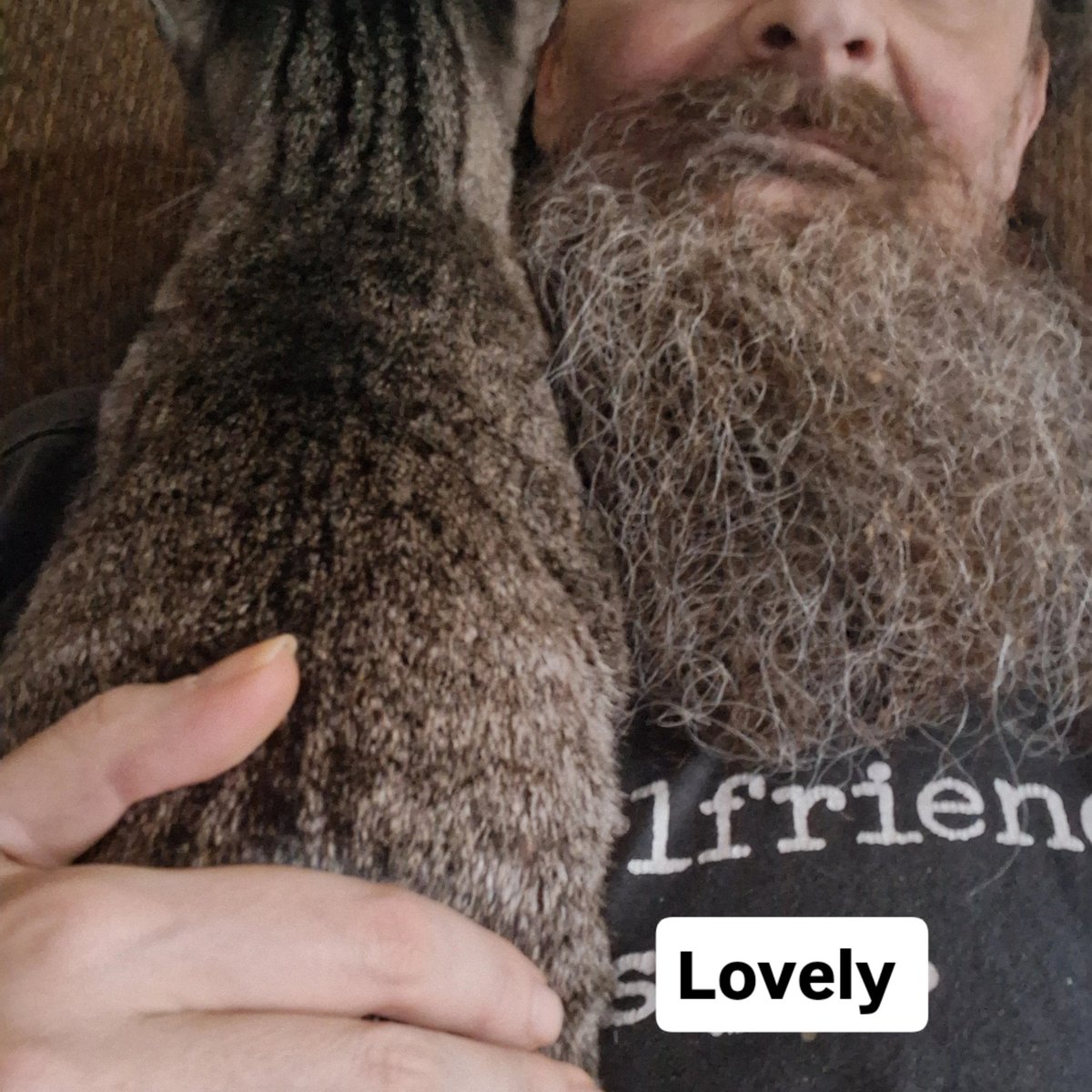 JoeHatke's tweet photo. She likes to cuddle. 😊 https://t.co/lqpSSVztgL