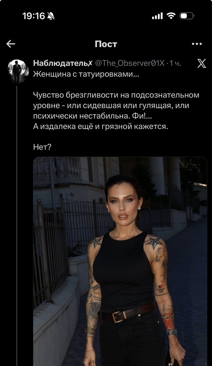 Попонька с приключениями tweet media