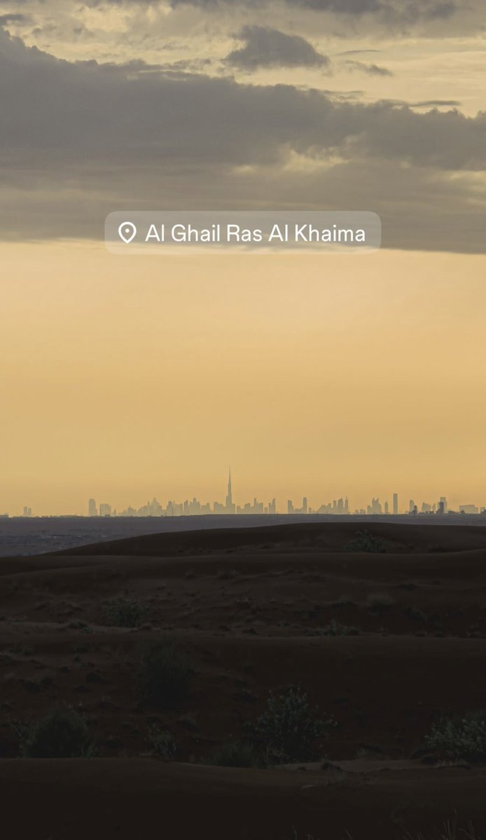 حمد بن شامس المزروعي tweet media