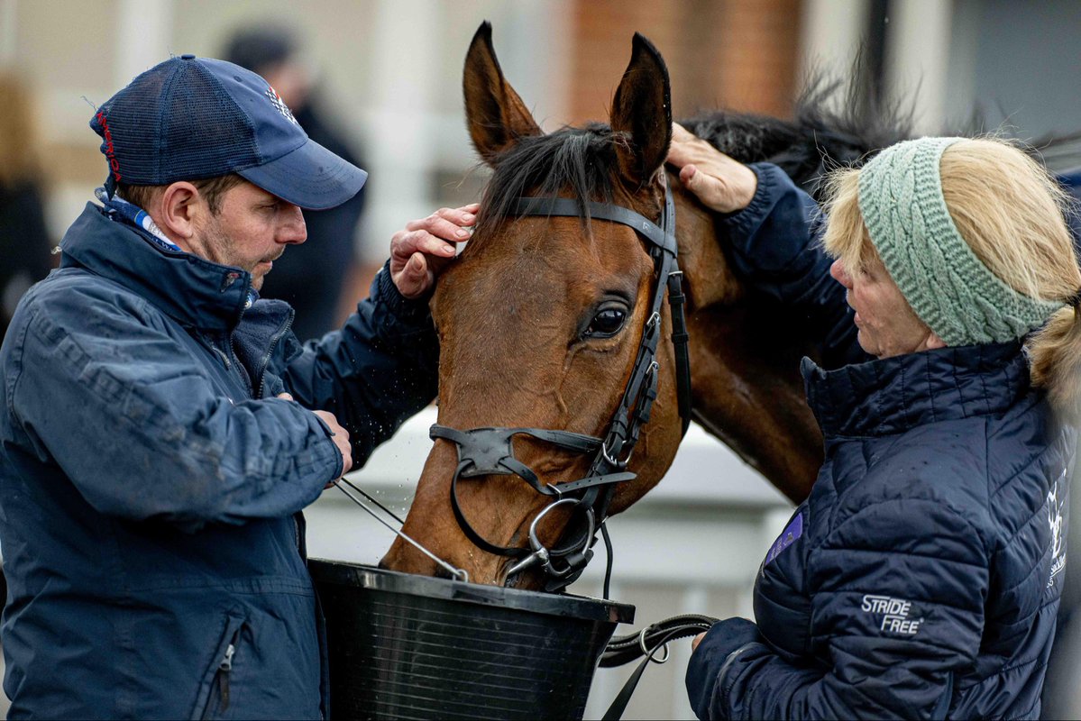 Lingfield Park tweet media