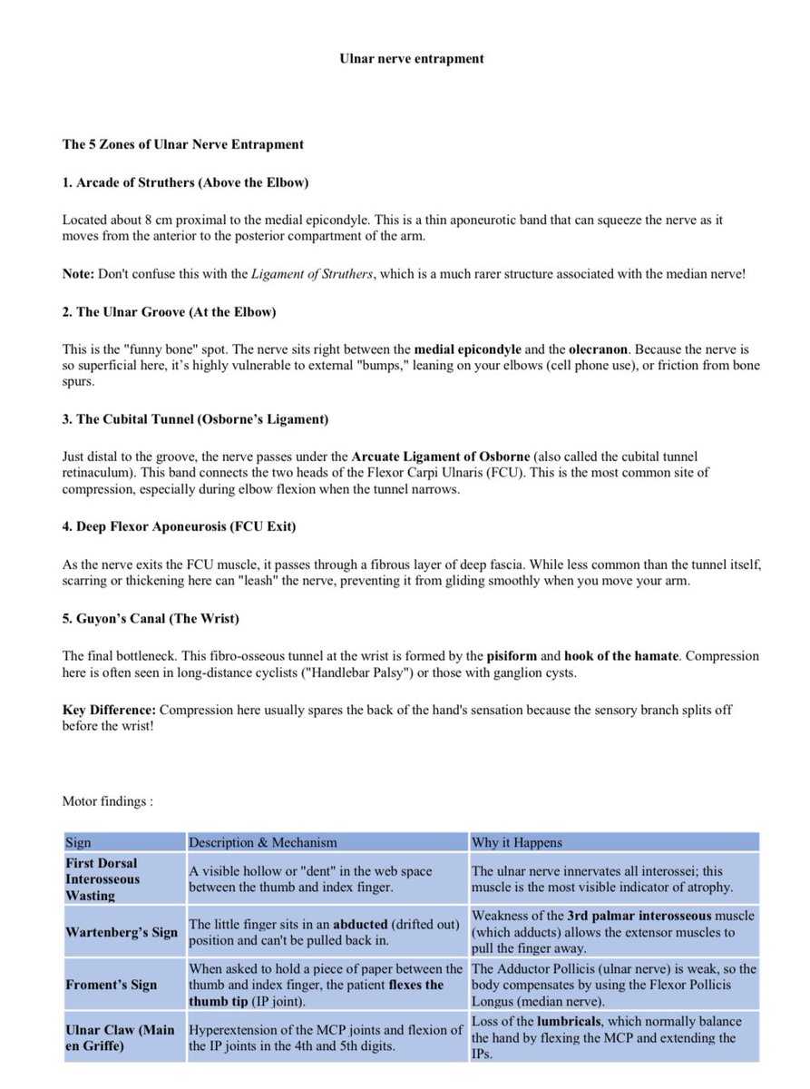 Ohud Alharbi tweet media