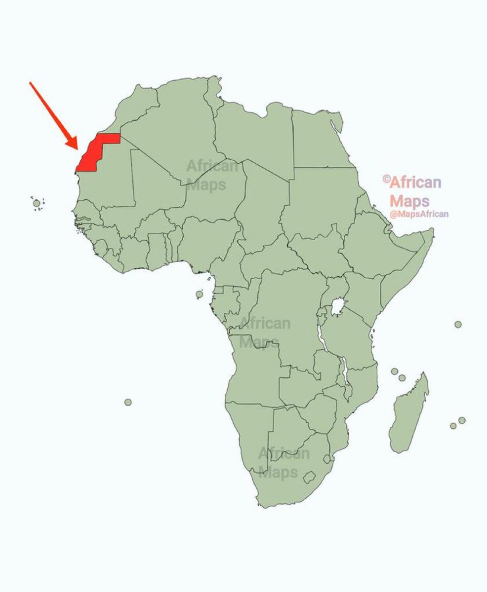 One Alasco🐘🇨🇮 tweet media