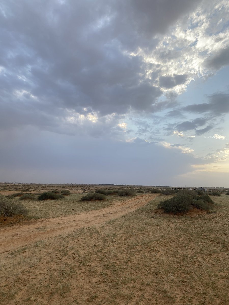 هيض وغيض tweet media