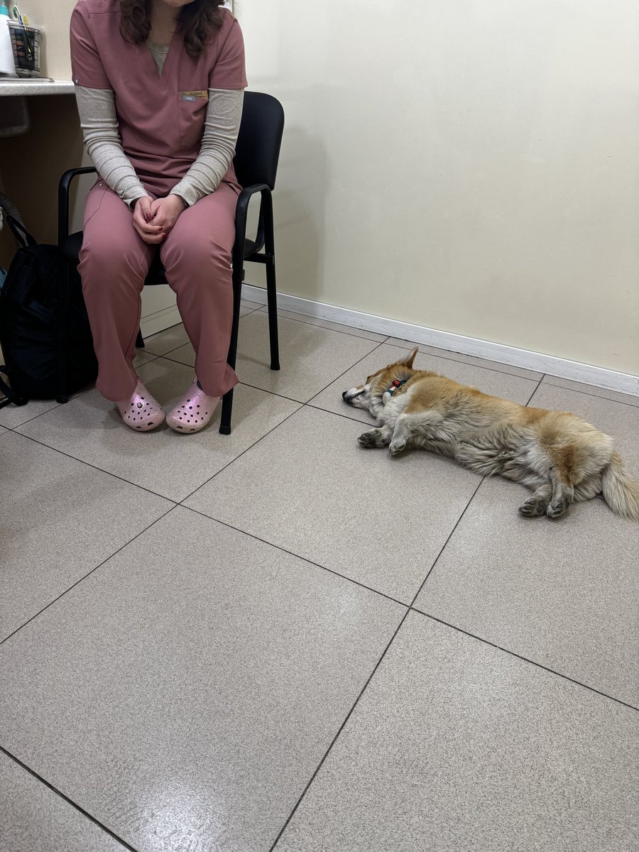 Саша tweet media