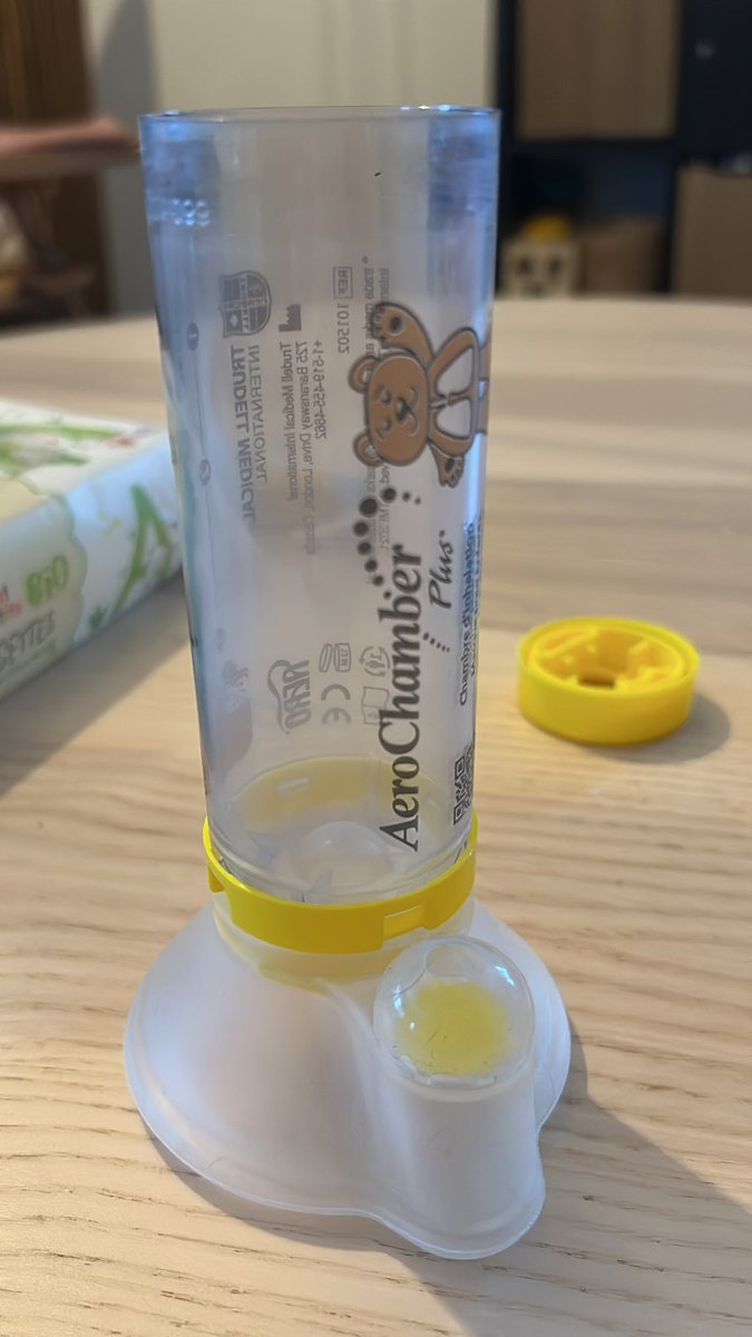 Sainte Marie de la Vulve 🌺 tweet media