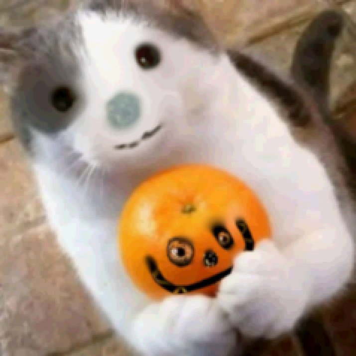 MonisTweet tweet media