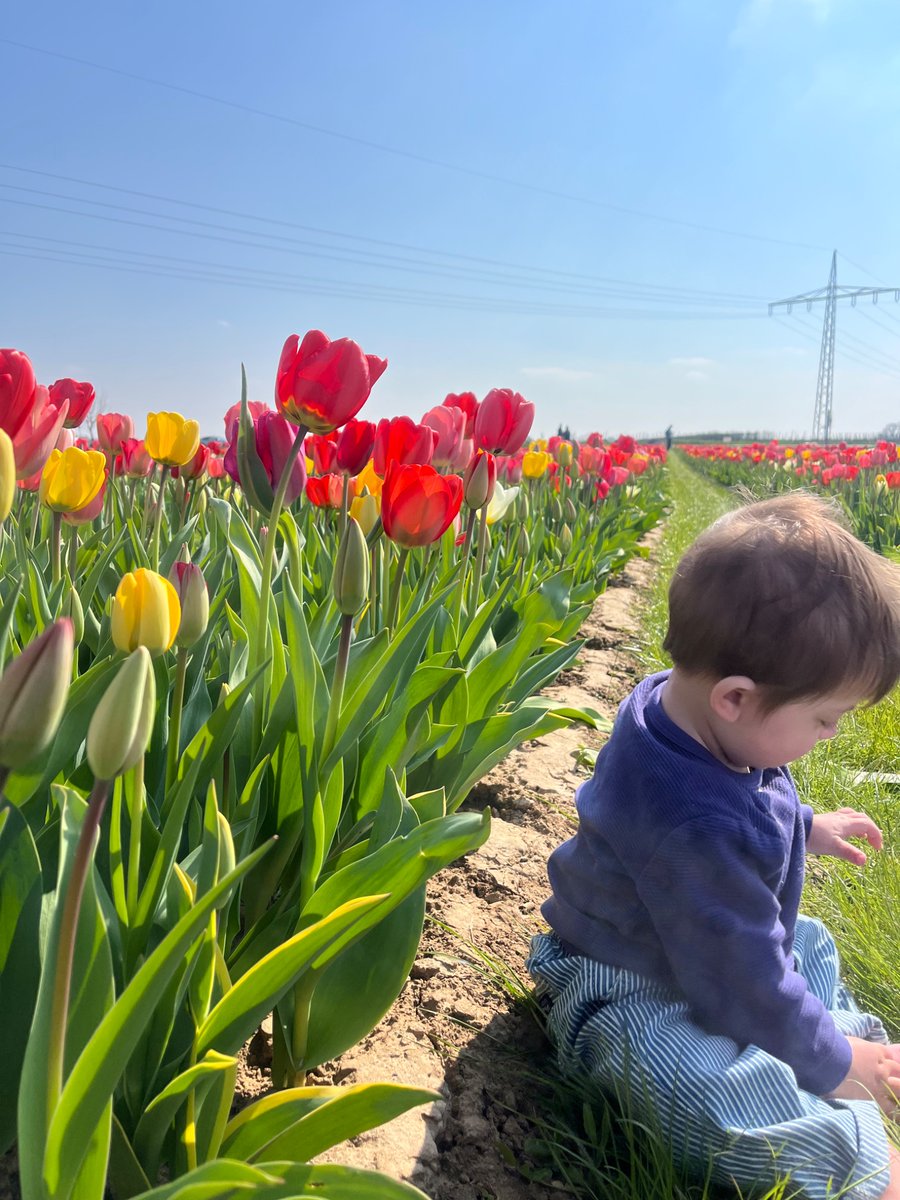 Doutora Quem? tweet media