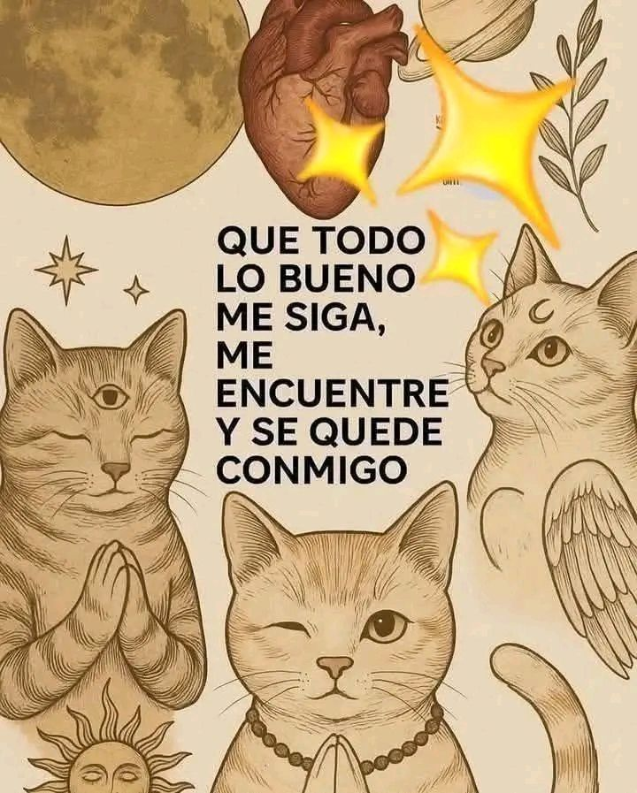 moony | agenda abierta 🇦🇷 tweet media