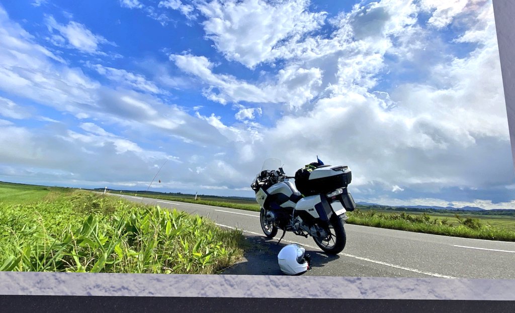 まき＊maki＊まきっ娘倶楽部 tweet media