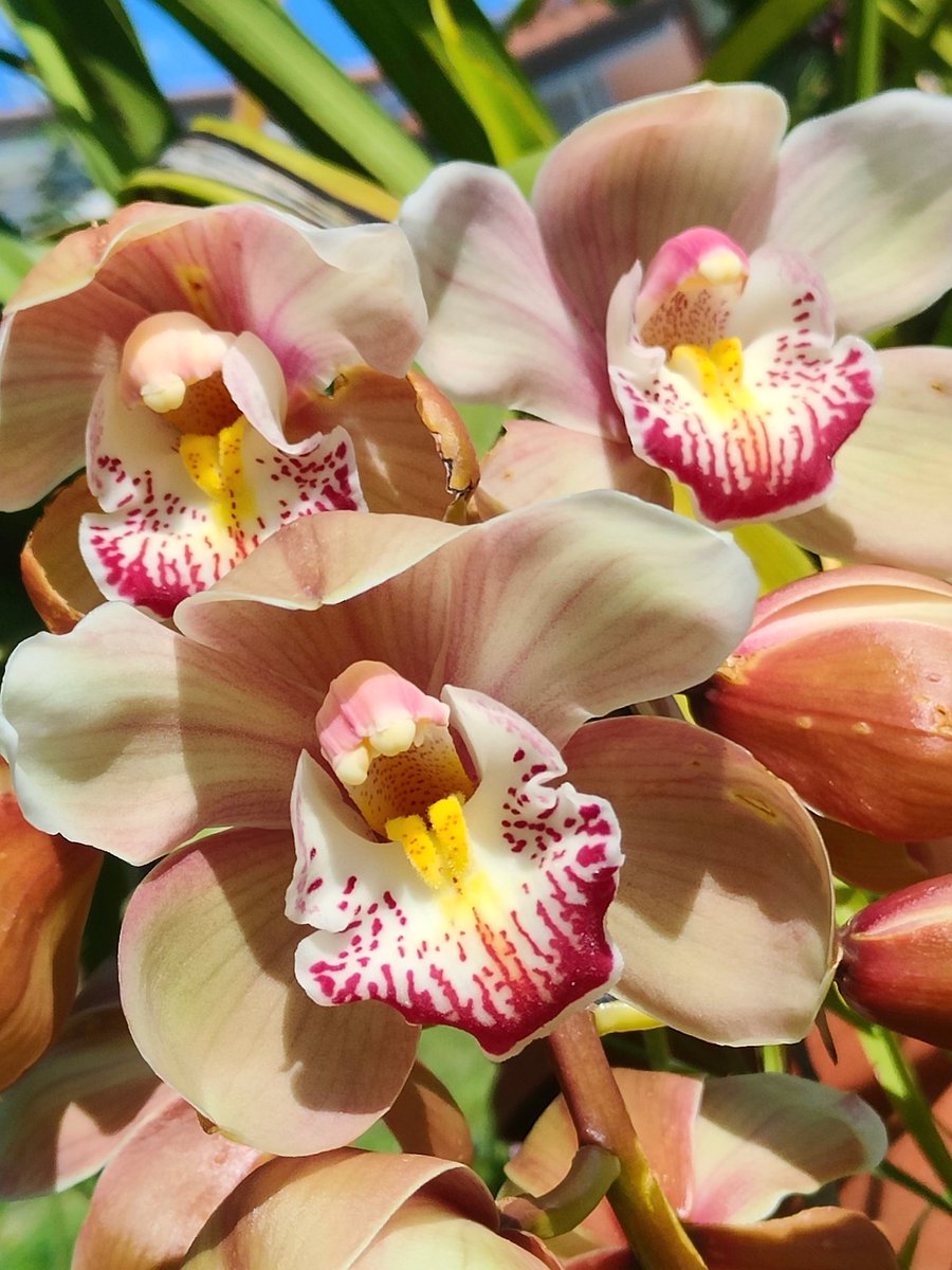 ◦•●◉✿ Blue✿◉●•◦ tweet media