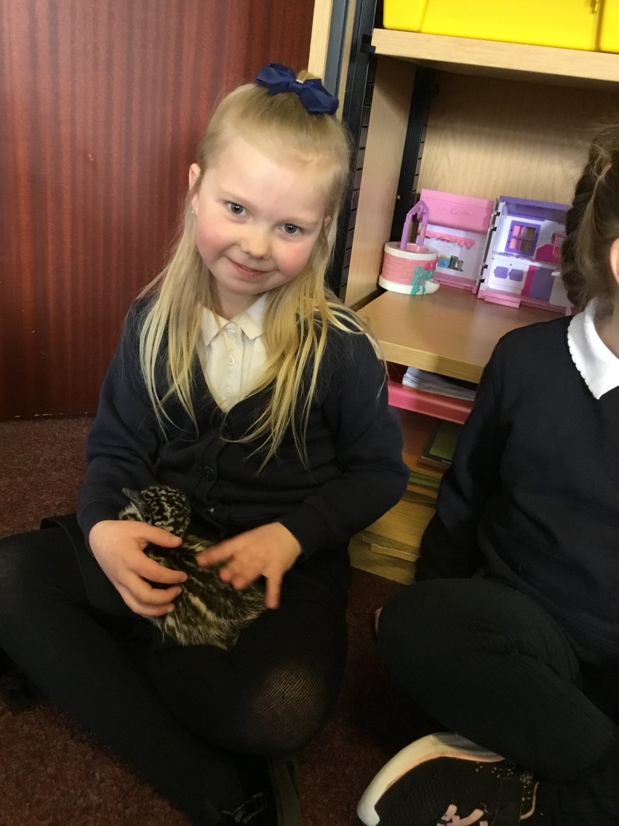 Rothiemay Primary School tweet media