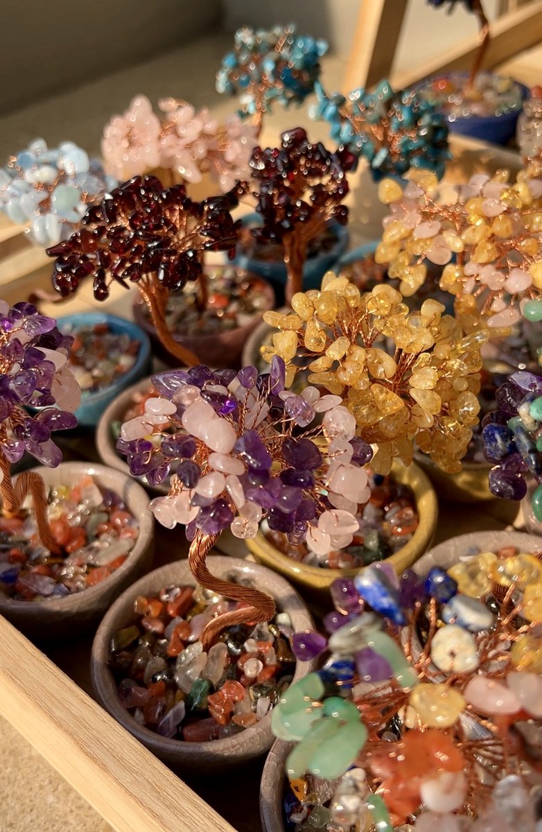 🍀𝐁𝐥𝐚𝐜𝐤𝐳𝐢𝐞 tweet media