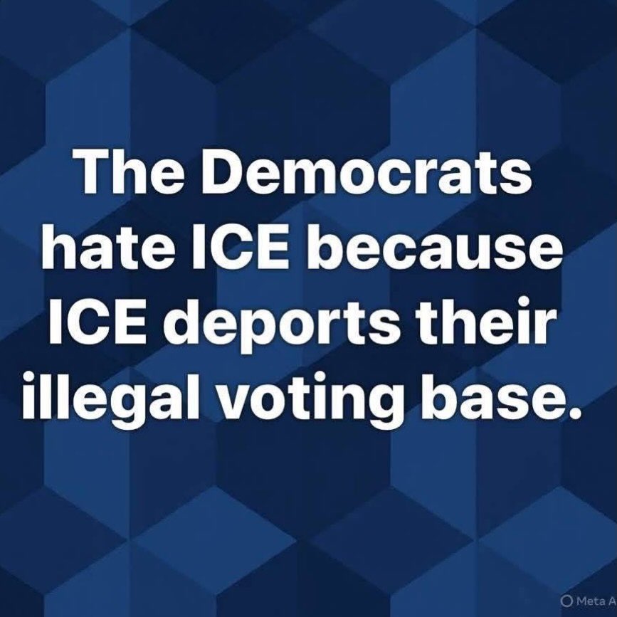 Blondelady2024 tweet media