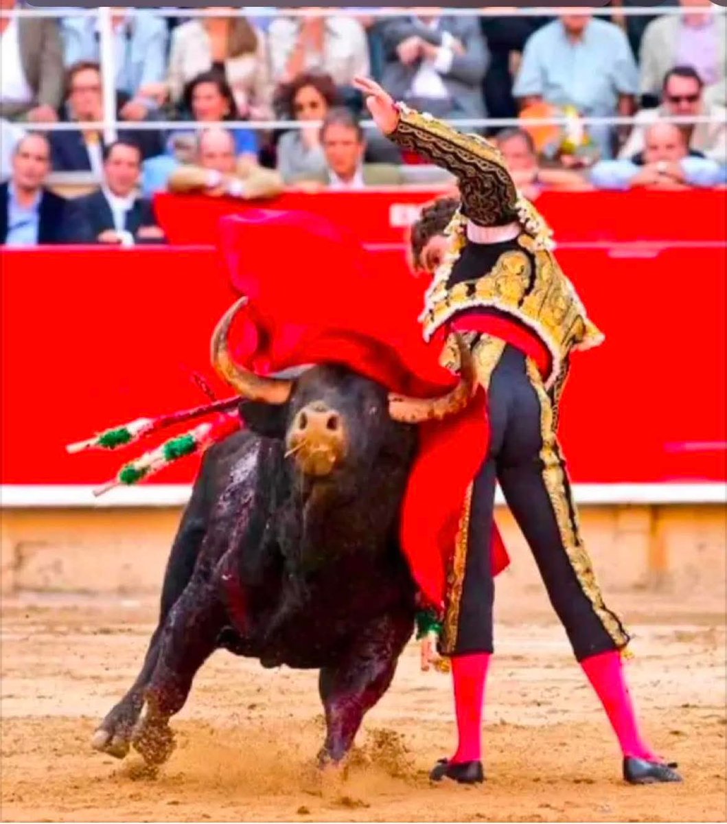 Fernando dC⚔️ tweet media