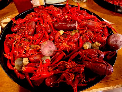 ✭ ✭ THE LuLuBama_Cowboys✭ ✭ ✭ tweet media