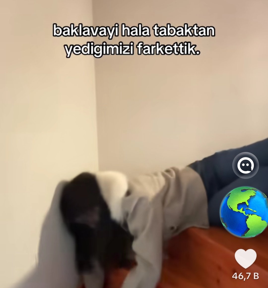 elifleoverthinkedoğru tweet media