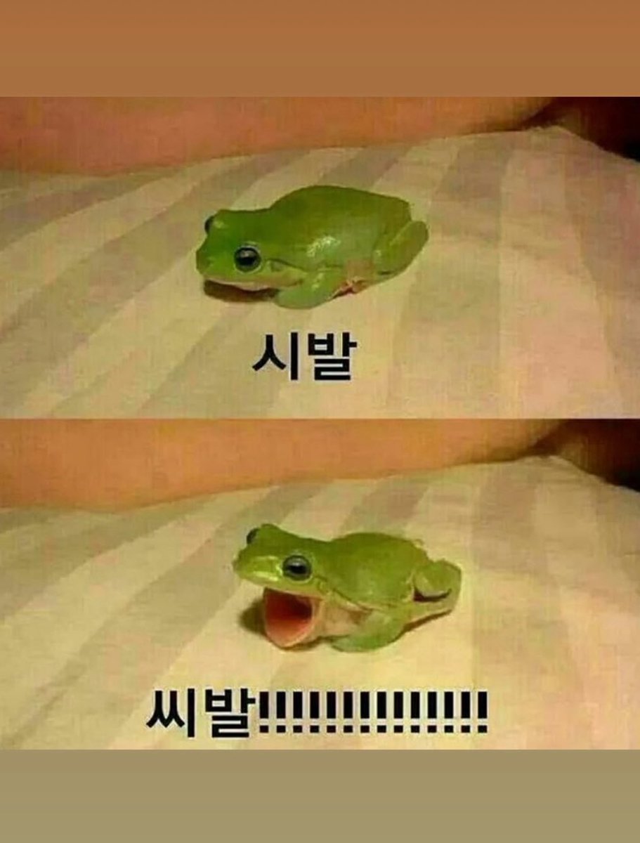 ♱으아아♱ tweet media