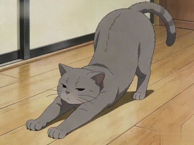 Alaa RASHEED tweet media