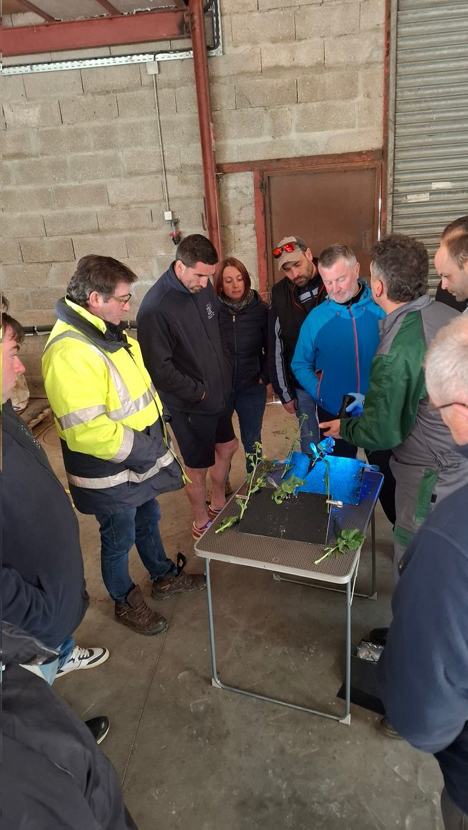 Ndevos3's tweet photo. Point culture @110Bourgogne sur les secteurs du Tonnerois et de la Puisaye. Échange techniques entre adhérents et formation pulverisation sur #pulvedyne de chez @DESANGOSSE https://t.co/YReotCU7A1