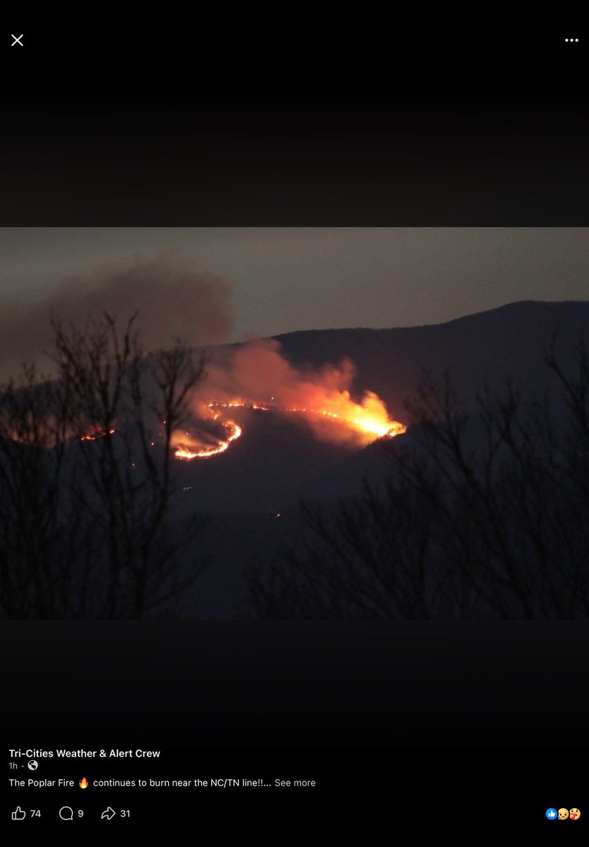 DieWeißeDaisy tweet media