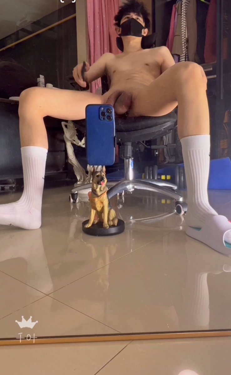 千叶野爹 tweet media