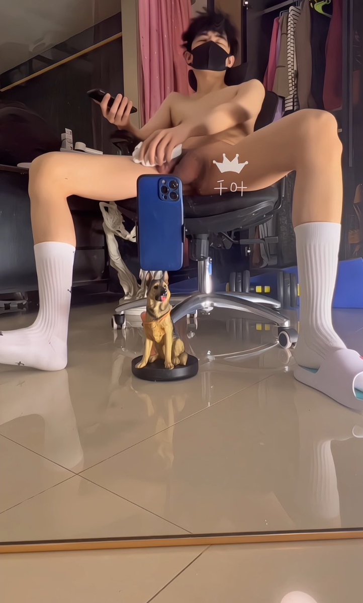 千叶野爹 tweet media