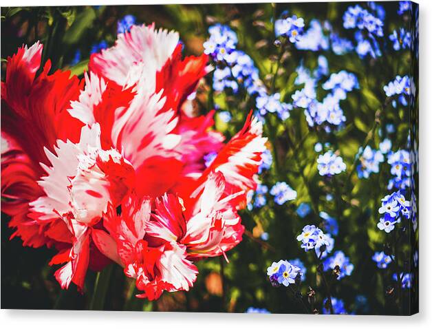 Rachel Morrison tweet media