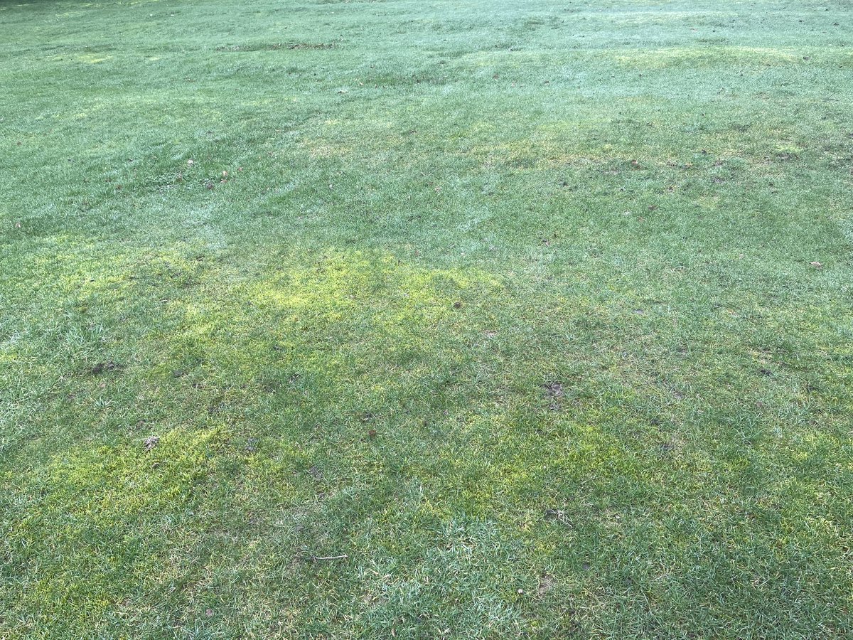 Dale ‘Ｇｏｌｆ Ｇｅｅｋ’ tweet media