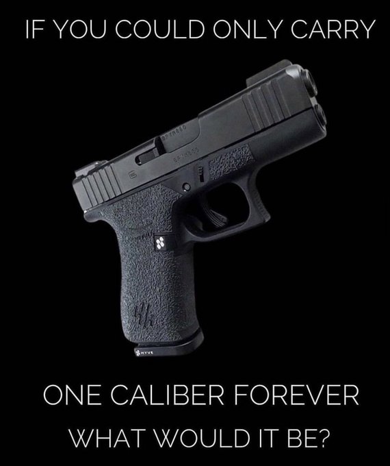 Trumplicans2024.com tweet media