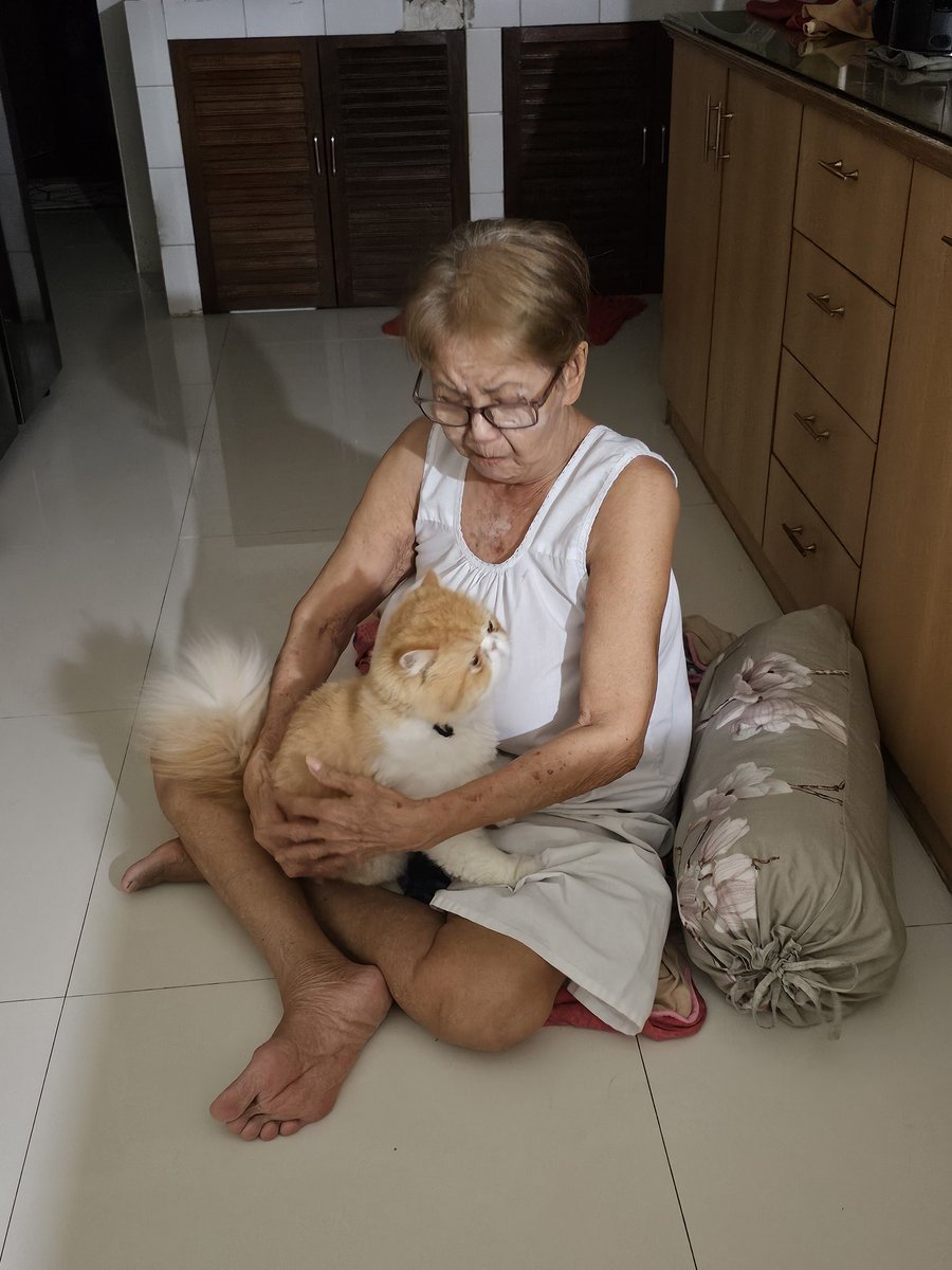 เรเร พยูนบูด tweet media