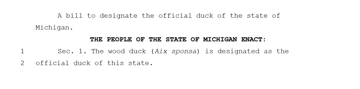 Craig Mauger tweet media