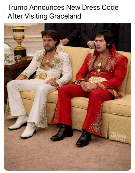 dave lawrence 🐟🐟🐠 tweet media