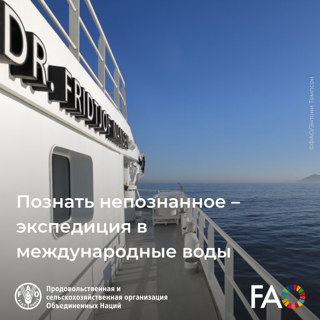 ФАО на русском tweet media