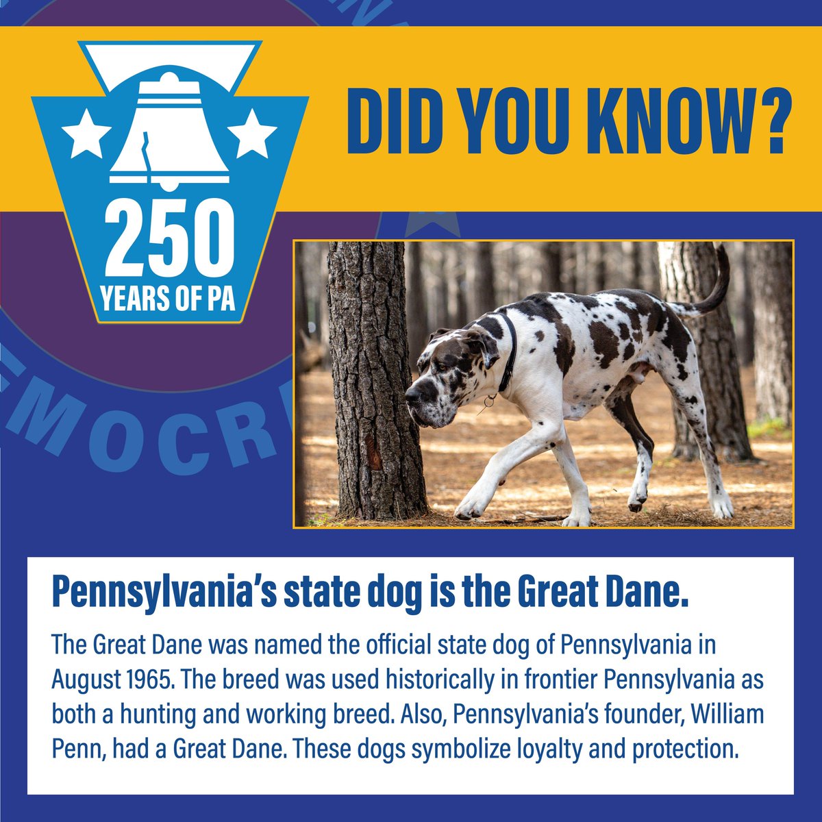 PA Senate Democratic Caucus tweet media