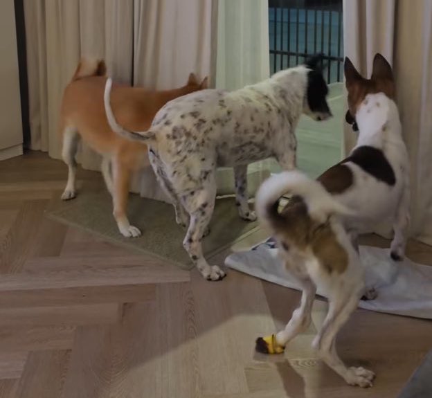 —คบฮ (¬_¬”) tweet media