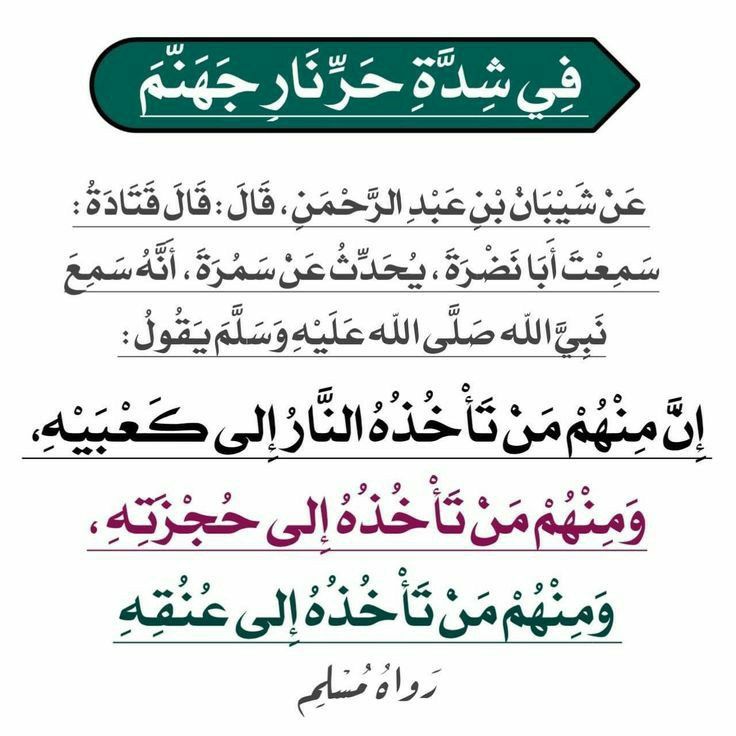 نشر أحاديث وفوائد tweet media