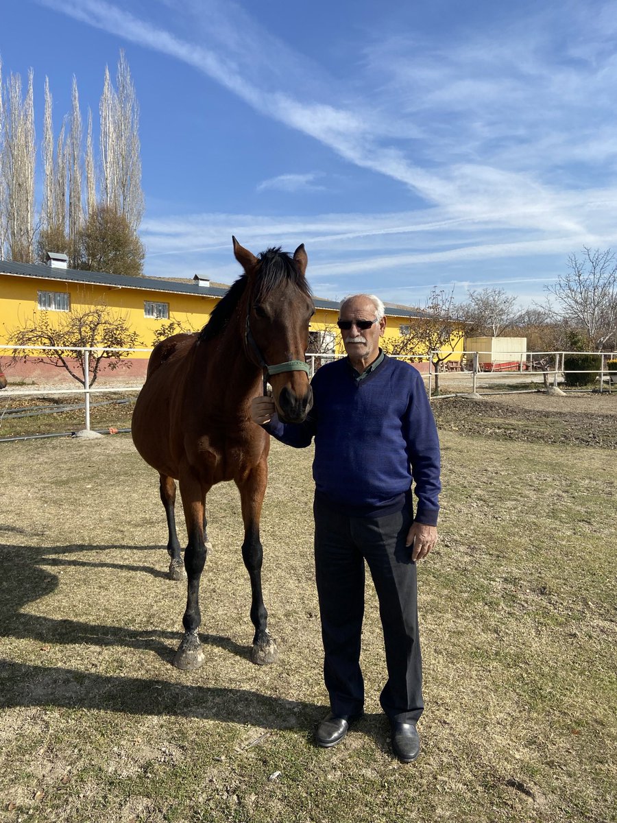 Haci İpek Harası tweet media