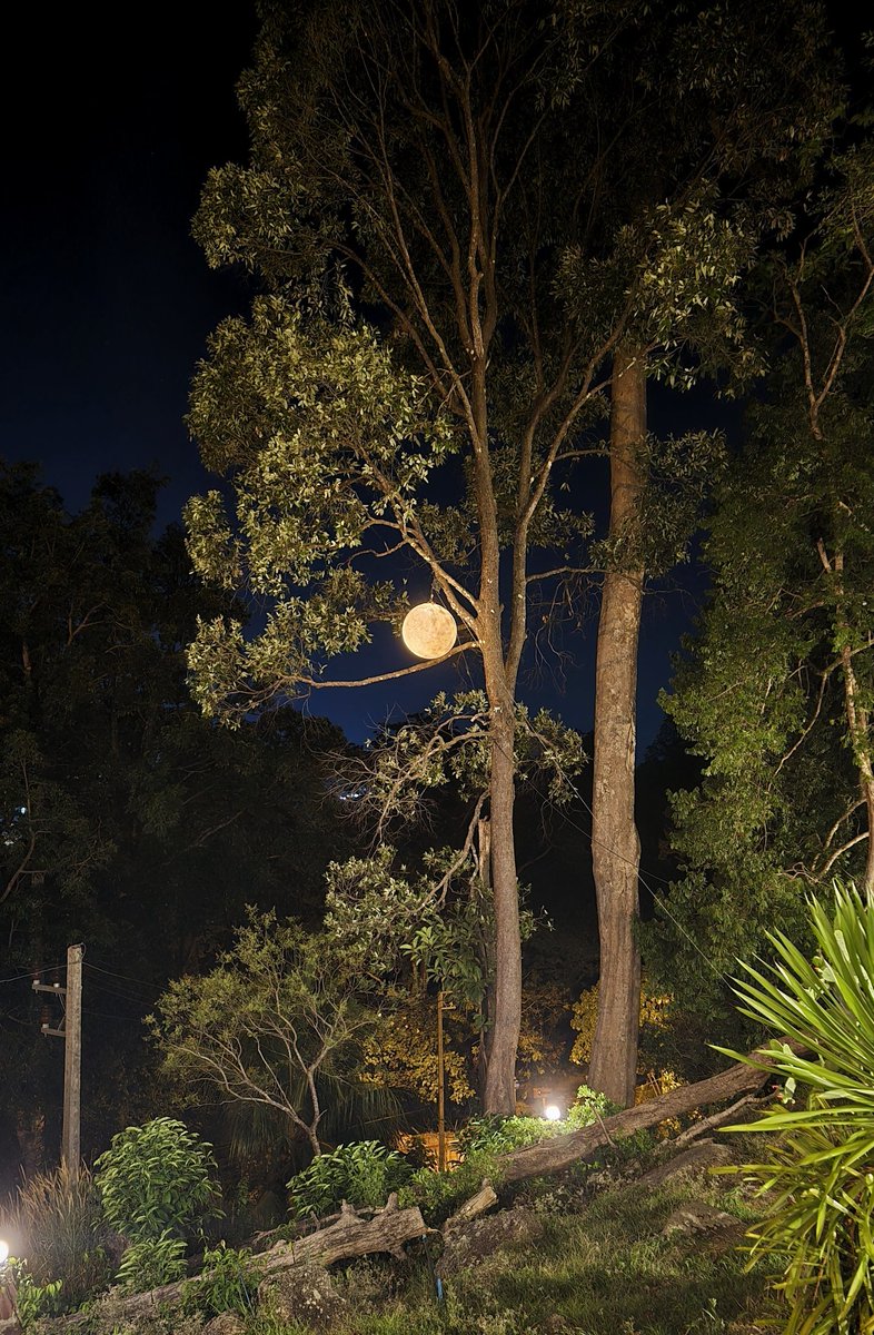 Gabriel Barliga tweet media