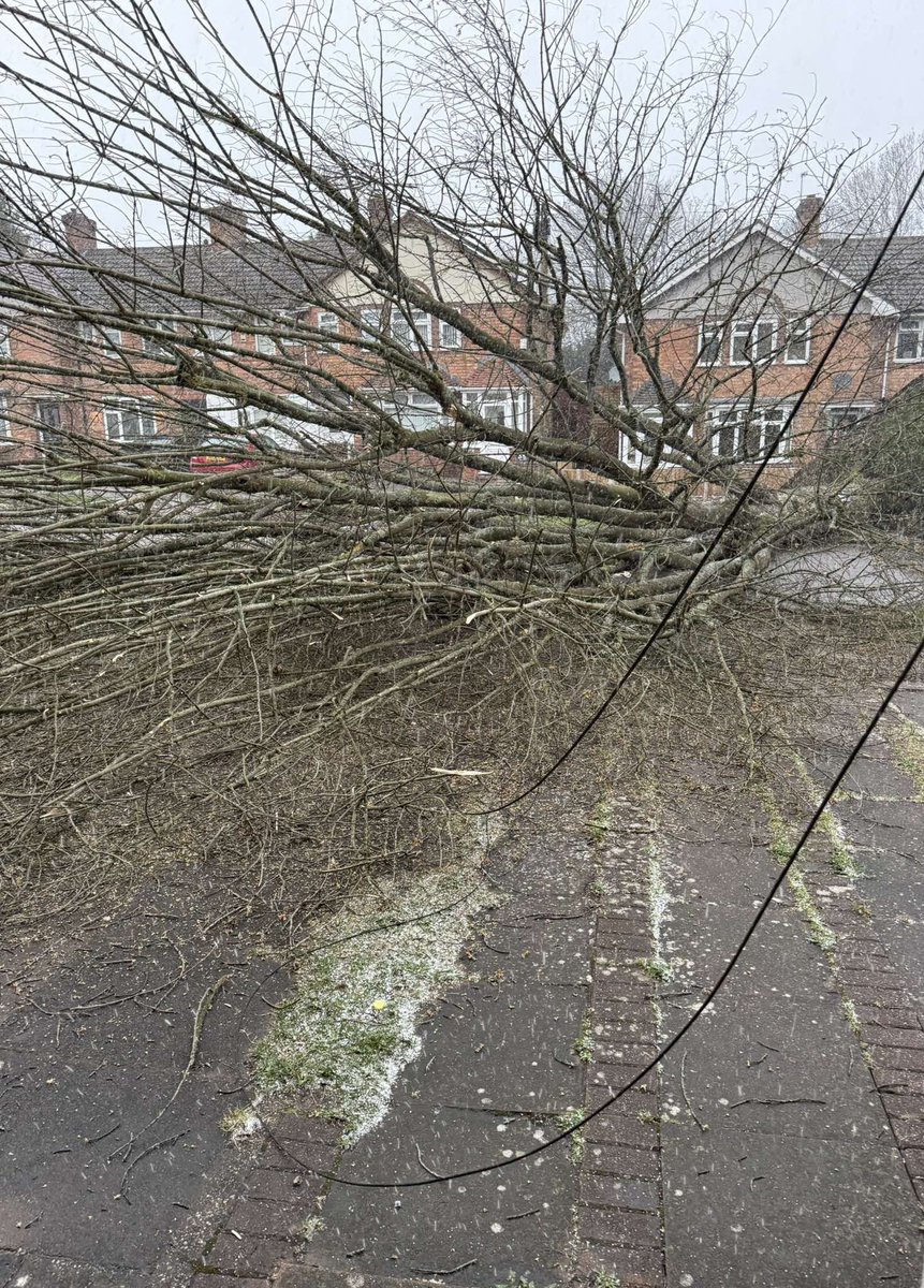 SolihullUpdates's tweet image. #PitmastonRoad in #HallGreen is currently blocked, due to a fallen tree.

(Image: Dani Smith).