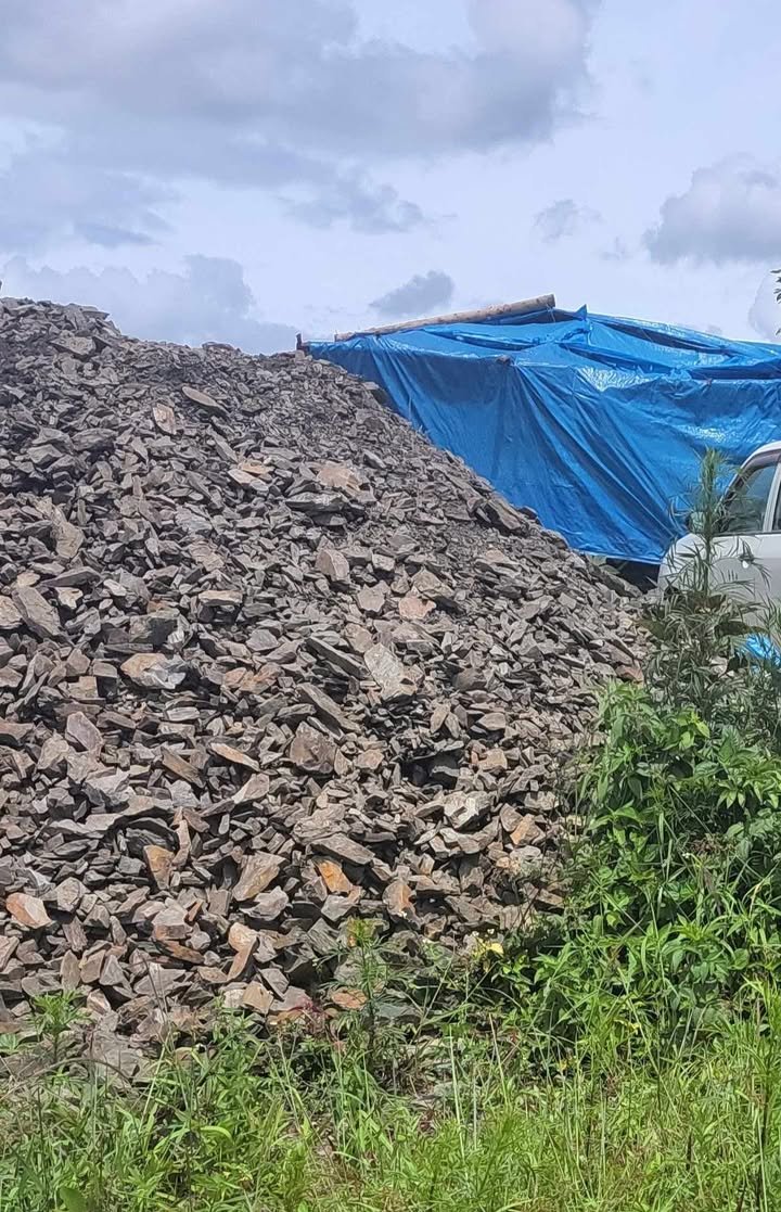 𝐂𝐫𝐢𝐦𝐞 𝐖𝐚𝐭𝐜𝐡 𝐙𝐖 tweet media