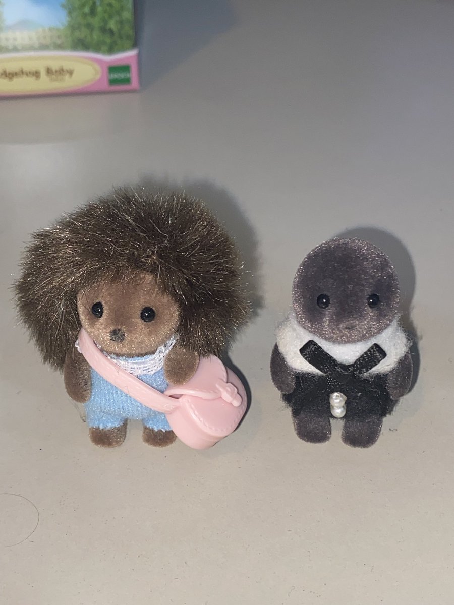 🥺🥺 โหม่งกับเหม่ง