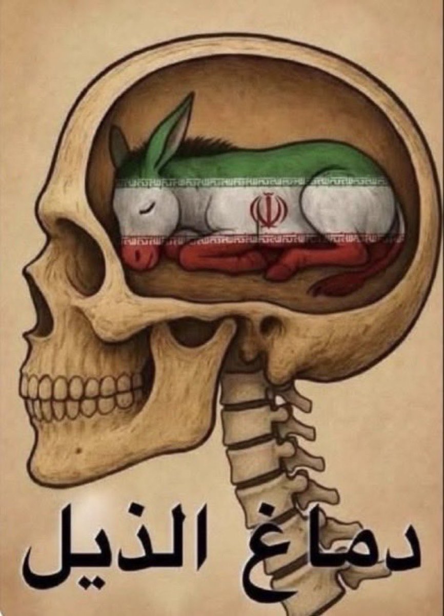 محمد المقحوصي🇴🇲🇸🇦 tweet media