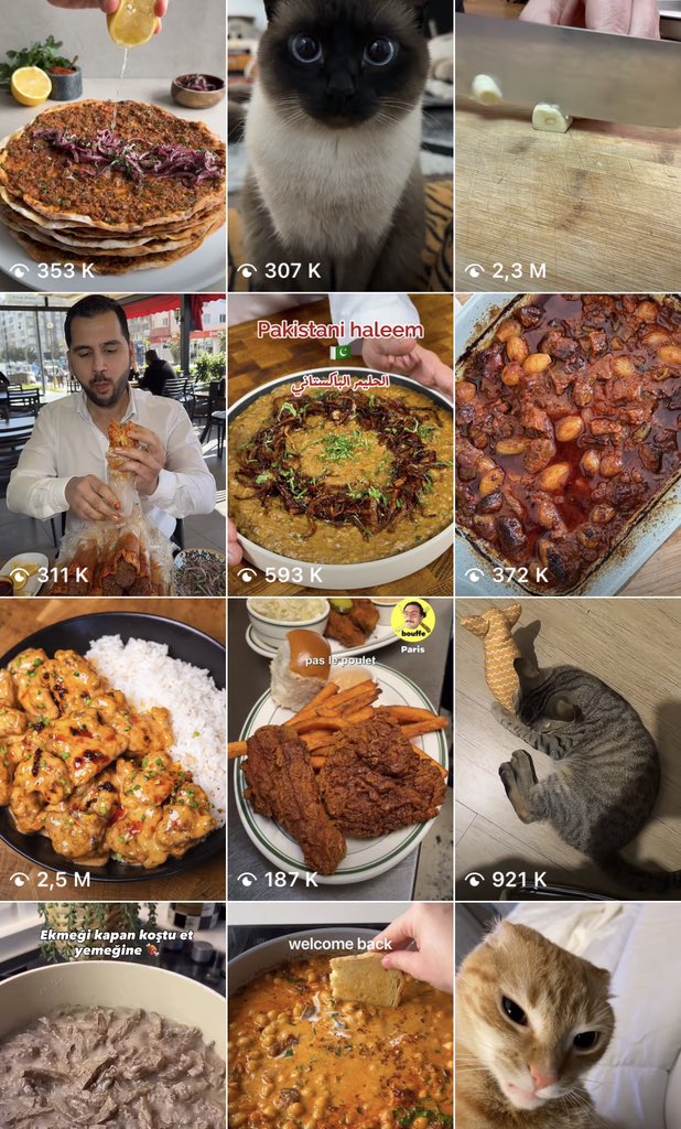 Arman 🪕🪬 tweet media