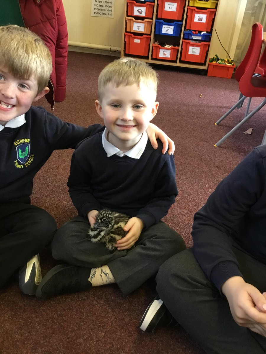 Rothiemay Primary School tweet media