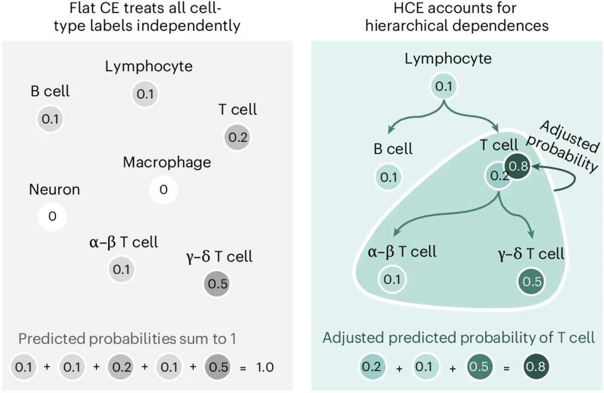 Ava Amini tweet media