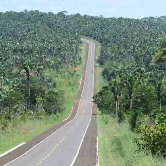 Mundo Nordeste 🌵☀️🌴 #LJSDV tweet media