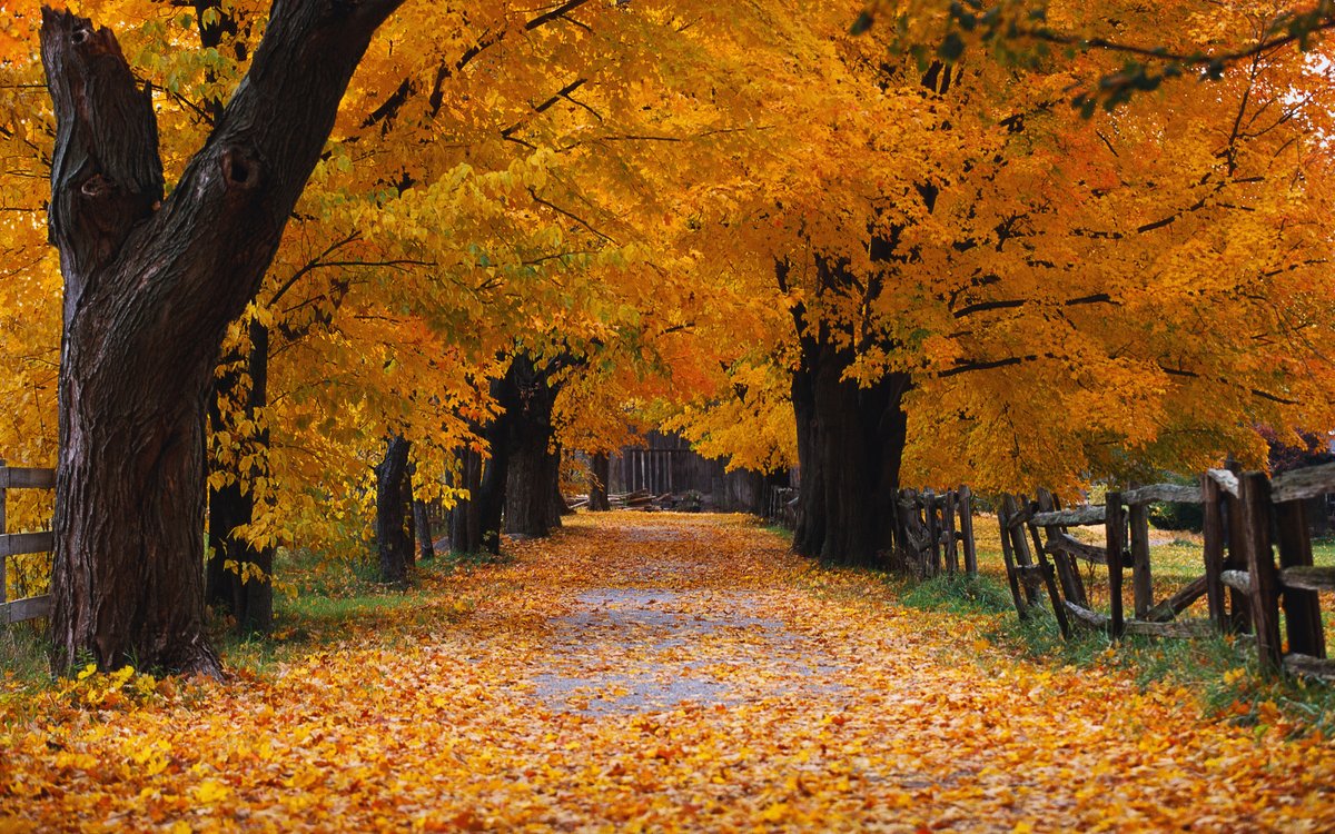 nostalgia tweet media